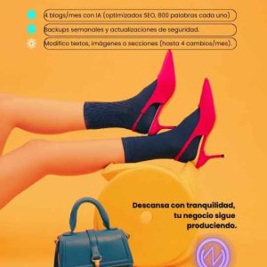 Mantenimiento Mensual Web